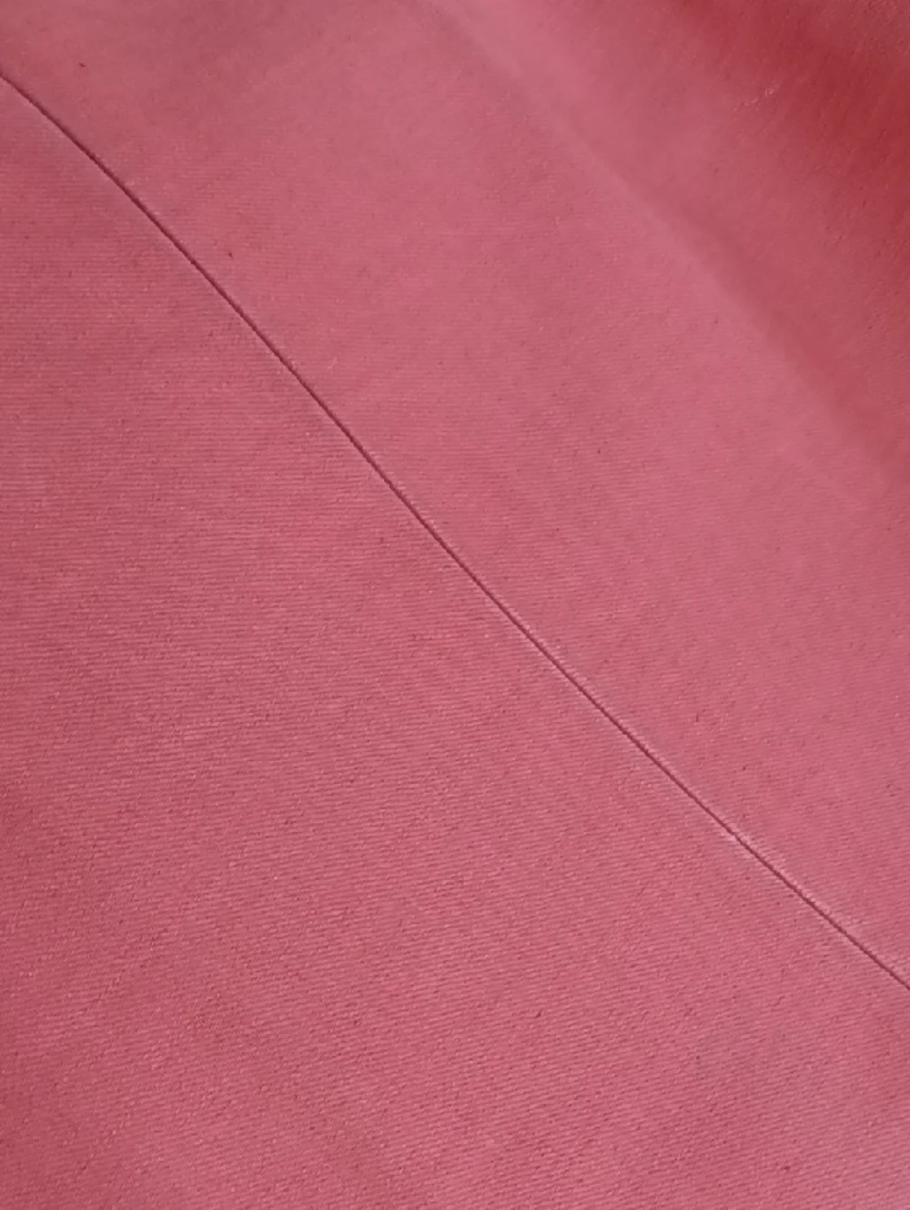 Everlane roomy bag